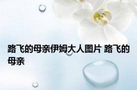 路飞的母亲伊姆大人图片 路飞的母亲 