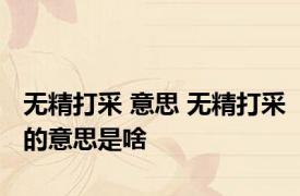 无精打采 意思 无精打采的意思是啥
