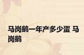 马岗鹅一年产多少蛋 马岗鹅 