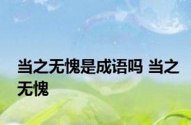 当之无愧是成语吗 当之无愧 