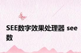SEE数字效果处理器 see数 