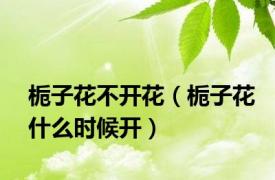 栀子花不开花（栀子花什么时候开）