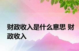 财政收入是什么意思 财政收入 
