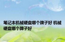 笔记本机械硬盘哪个牌子好 机械硬盘哪个牌子好 
