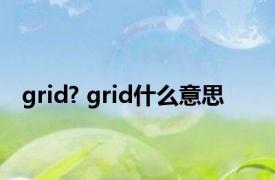 grid? grid什么意思 