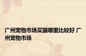 广州宠物市场买猫哪里比较好 广州宠物市场 