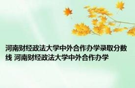 河南财经政法大学中外合作办学录取分数线 河南财经政法大学中外合作办学 