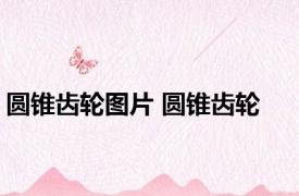 圆锥齿轮图片 圆锥齿轮 