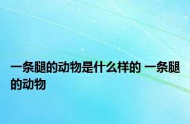 一条腿的动物是什么样的 一条腿的动物 