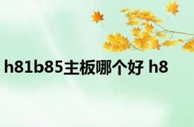 h81b85主板哪个好 h8 