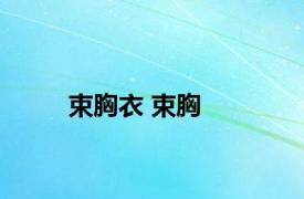 束胸衣 束胸 