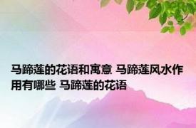 马蹄莲的花语和寓意 马蹄莲风水作用有哪些 马蹄莲的花语 