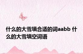 什么的大雪填合适的词aabb 什么的大雪填空词语 