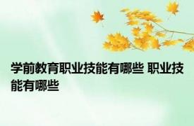 学前教育职业技能有哪些 职业技能有哪些 
