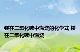 镁在二氧化碳中燃烧的化学式 镁在二氧化碳中燃烧 