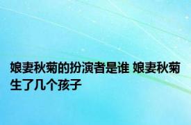 娘妻秋菊的扮演者是谁 娘妻秋菊生了几个孩子 