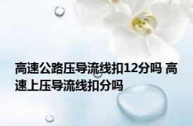 高速公路压导流线扣12分吗 高速上压导流线扣分吗 