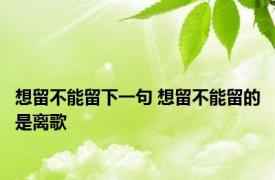 想留不能留下一句 想留不能留的是离歌 