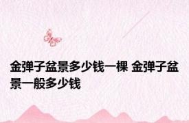 金弹子盆景多少钱一棵 金弹子盆景一般多少钱 