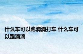什么车可以跑滴滴打车 什么车可以跑滴滴 
