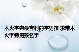 木火字旁最吉利的字男孩 求带木火字旁男孩名字 