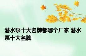 潜水泵十大名牌都哪个厂家 潜水泵十大名牌 