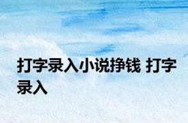 打字录入小说挣钱 打字录入 