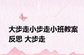 大步走小步走小班教案反思 大步走 