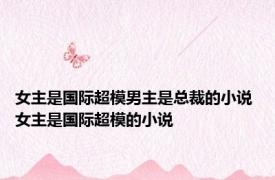 女主是国际超模男主是总裁的小说 女主是国际超模的小说 