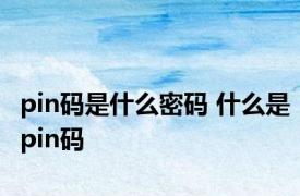 pin码是什么密码 什么是pin码 