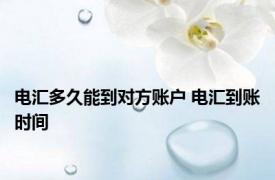 电汇多久能到对方账户 电汇到账时间 