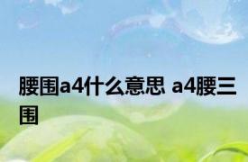 腰围a4什么意思 a4腰三围 