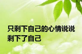 只剩下自己的心情说说 剩下了自己 