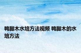 鸭脚木水培方法视频 鸭脚木的水培方法 