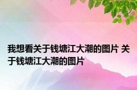我想看关于钱塘江大潮的图片 关于钱塘江大潮的图片 