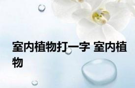 室内植物打一字 室内植物 