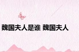 魏国夫人是谁 魏国夫人 