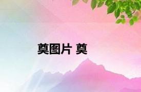 奠图片 奠 