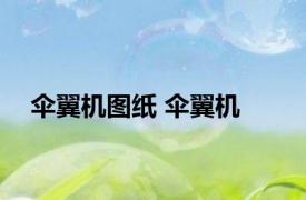 伞翼机图纸 伞翼机 