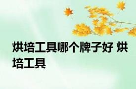烘培工具哪个牌子好 烘培工具 