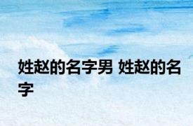 姓赵的名字男 姓赵的名字 