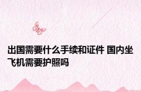 出国需要什么手续和证件 国内坐飞机需要护照吗 