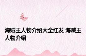 海贼王人物介绍大全红发 海贼王人物介绍 