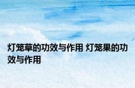 灯笼草的功效与作用 灯笼果的功效与作用 