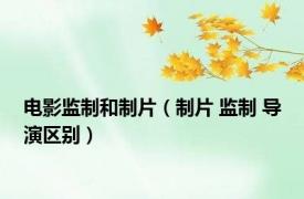 电影监制和制片（制片 监制 导演区别）