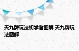 天九牌玩法初学者图解 天九牌玩法图解 