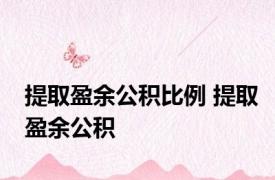 提取盈余公积比例 提取盈余公积 