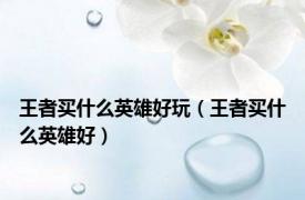 王者买什么英雄好玩（王者买什么英雄好）