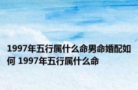 1997年五行属什么命男命婚配如何 1997年五行属什么命 