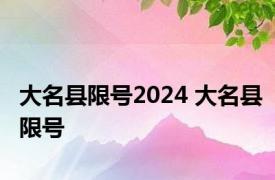大名县限号2024 大名县限号 